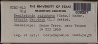 Image Associated With the Occurence